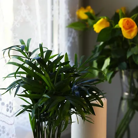 Διαμέρισμα Kdn Na Rysiej