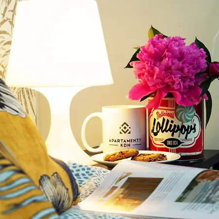 Kdn Na Rysiej Апартаменты Катовице