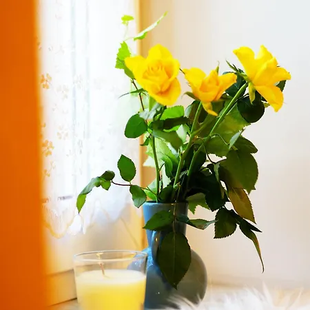 Kdn Na Rysiej * Катовице