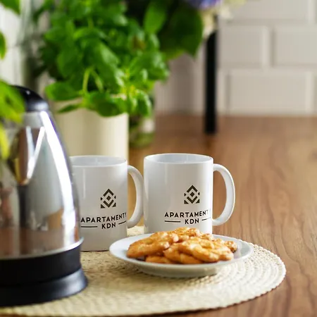 Kdn Na Rysiej Διαμέρισμα *