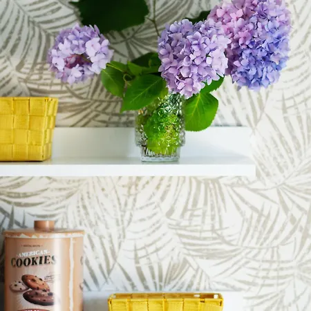 Kdn Na Rysiej Διαμέρισμα Κατοβίτσε