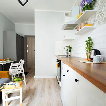 Kdn Na Rysiej Κατοβίτσε