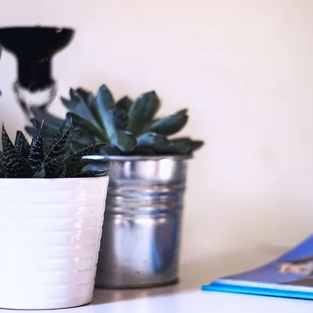 Kdn Na Rysiej Διαμέρισμα *