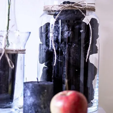 Kdn Na Rysiej Διαμέρισμα *