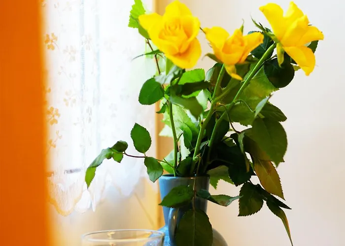 Kdn Na Rysiej * Katowice