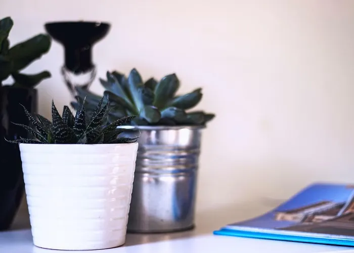 Kdn Na Rysiej דירה *